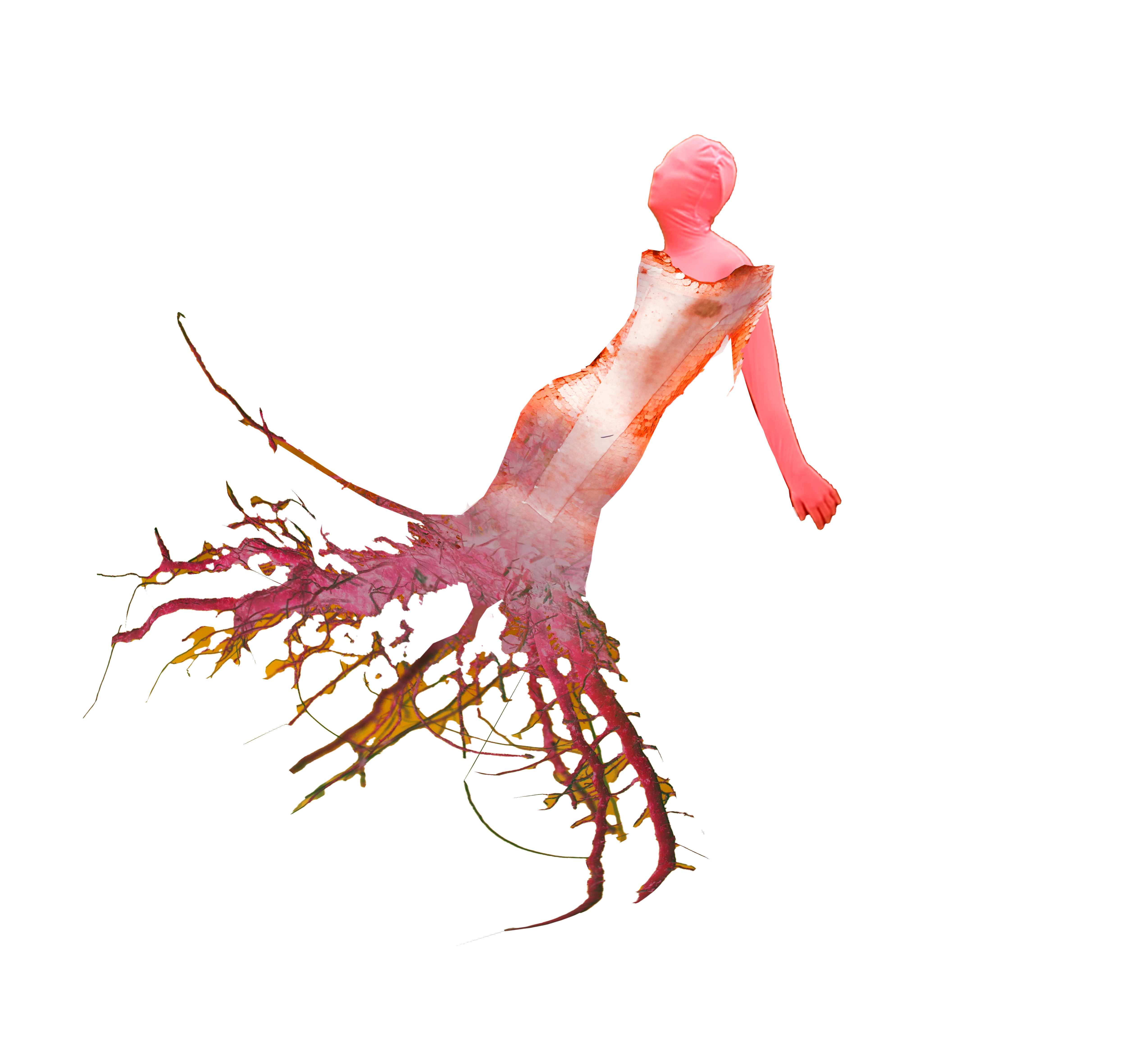 Floating Image 15